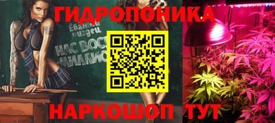 прущие грибы Кулебаки