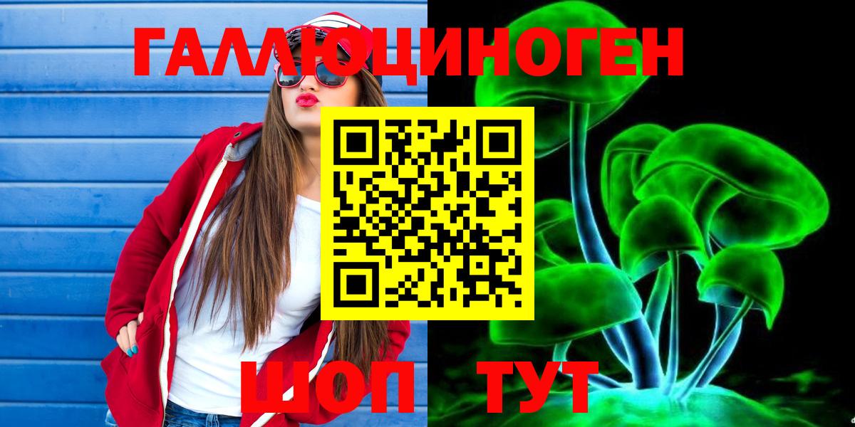 Карачаевск  Галлюциногенные грибы Psilocybe  Вход с VPN  Галлюциногенные грибы мухоморы 