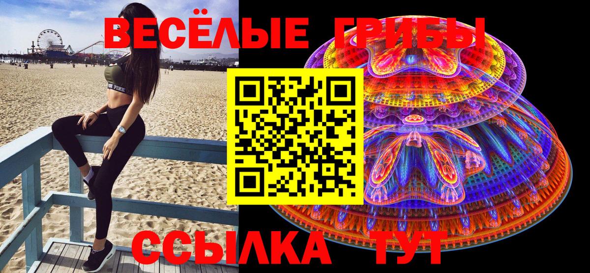 Галлюциногенные грибы мицелий Карачаевск